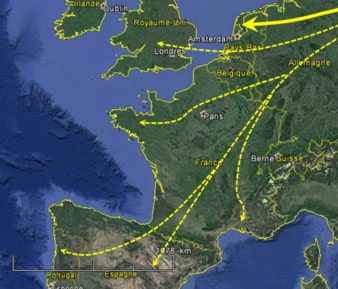 Carte migration bécasse