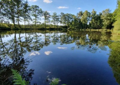 Gite de peche en Dordogne avec etang privé