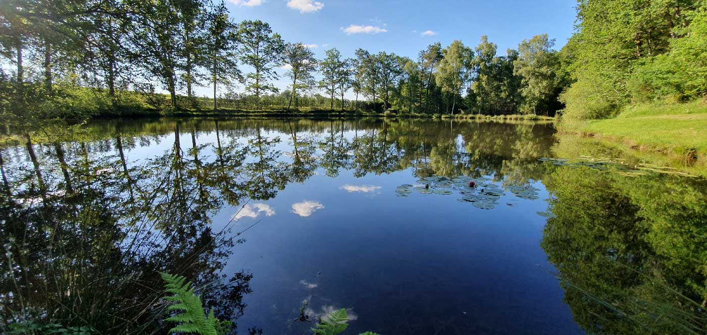 Gite de peche en Dordogne avec etang privé