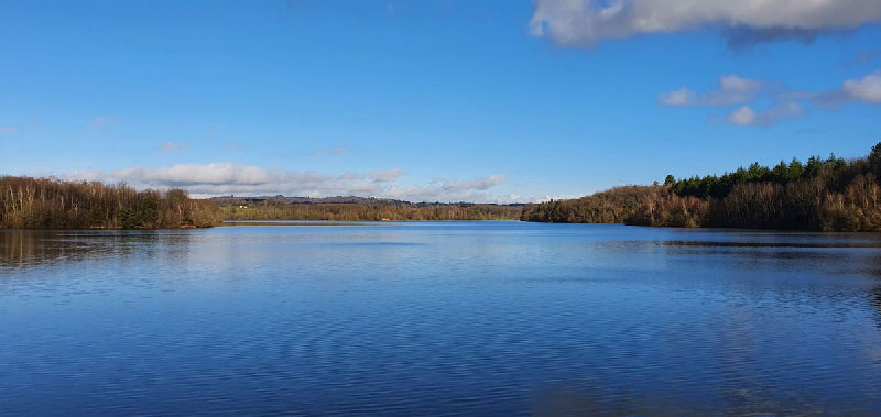 Pêche à la carpe sur le plan d'eau de Miallet - Dordogne Libre