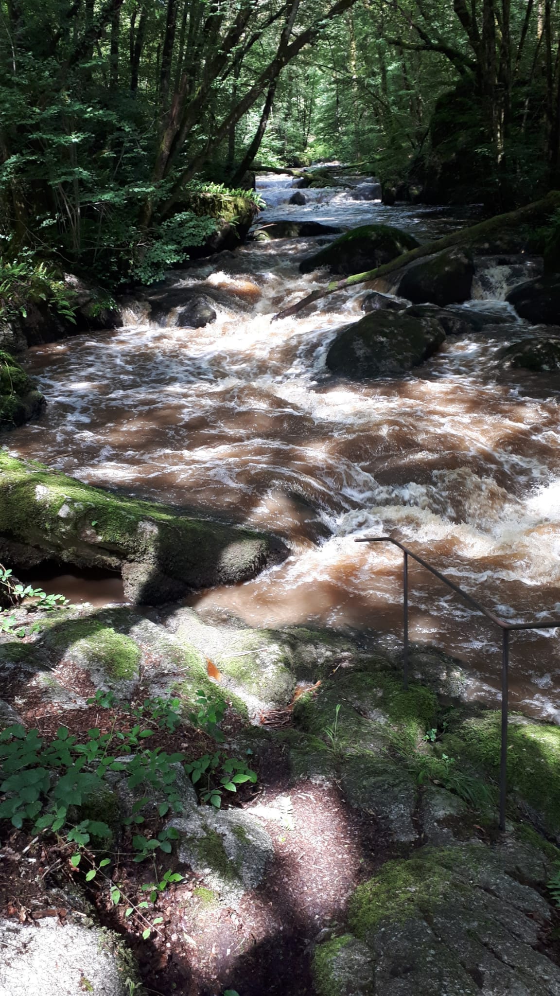 Dronne Saut du Chalard Rivière sauvage