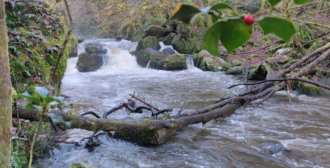 Le Saut du Chalard