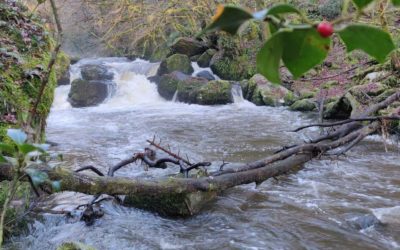 Le Saut du Chalard