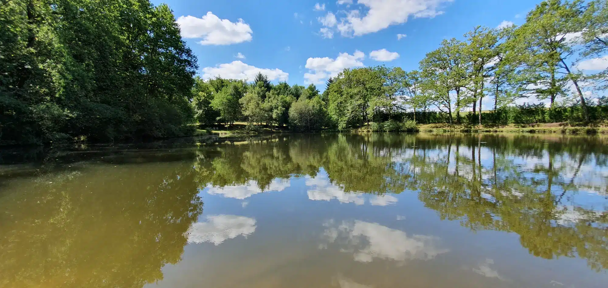 Étang de pêche privé du domaine en été